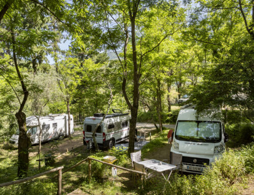 Offerta di Natale! Sconto del 10% per chi prenota nelle feste